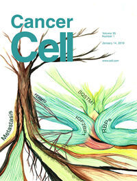 Cancer Cell 2019 Jan 14;35(1):125-139.e9.